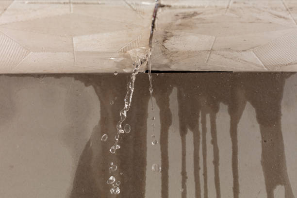 Professional Water Damage Repair technician working in Hermitage, PA